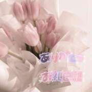 うに お礼日記💌 京都クレージュ名鑑　極