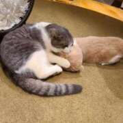 ヒメ日記 2026/09/20 12:05 投稿 あお ぽっちゃり巨乳専門店 町田相模原ちゃんこ