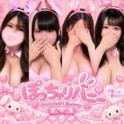 ヒメ日記 2026/09/19 12:59 投稿 ♡あむ♡ ぽっちゃりバニー