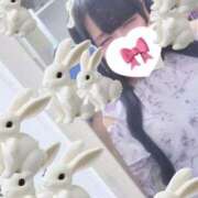 ヒメ日記 2026/10/12 12:54 投稿 ♡あむ♡ ぽっちゃりバニー