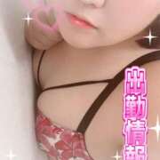 ヒメ日記 2026/09/15 15:00 投稿 ちい 素人巨乳ちゃんこ「東千葉店」
