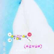 いつき おはようございます 愛媛松山ちゃんこ