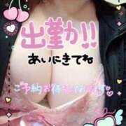 ヒメ日記 2026/09/14 23:08 投稿 あんなパン ぽっちゃりパンダ五反田