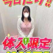 ヒメ日記 2026/09/11 23:09 投稿 ひなは サティアンまーと