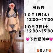 ヒメ日記 2026/09/29 21:24 投稿 るいか エフルラージュ伏見