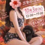 ヒメ日記 2026/09/30 22:00 投稿 るいか エフルラージュ伏見
