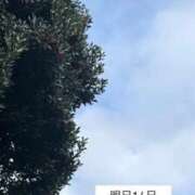 ヒメ日記 2026/10/13 09:29 投稿 ことは サティアンまーと