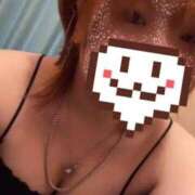 ネコザメ 夜だね 女の子市場