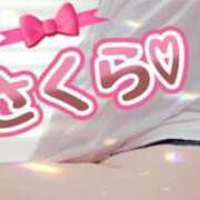 ヒメ日記 2026/10/09 11:24 投稿 あさくら 川崎・東横人妻城