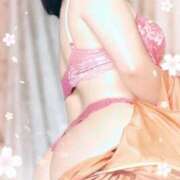 ヒメ日記 2026/09/18 05:59 投稿 綾野りこ こあくまな熟女たち徳島店(KOAKUMAグループ)