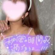 ヒメ日記 2026/09/13 14:01 投稿 ジン 【福岡デリヘル】20代・30代★博多で評判のお店はココです！