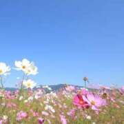ヒメ日記 2026/10/10 15:39 投稿 めぐ 錦糸町人妻セレブリティ（ユメオト）