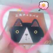 ヒメ日記 2026/10/08 10:54 投稿 つばき Honey