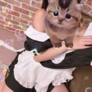 ヒメ日記 2026/09/24 14:18 投稿 新垣れん メイドin中野（東京ハレ系）