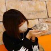 ヒメ日記 2026/10/03 23:20 投稿 【ひとみ】アイドルの秘密のお仕事 おねだり本店　熊本