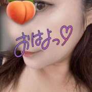 ちあき こんにちは🐰 船橋桃色の妻たち