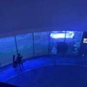 ヒメ日記 2026/10/02 23:38 投稿 せいら 横浜プラチナ（ユメオト）