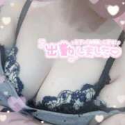 ヒメ日記 2026/09/20 14:50 投稿 リズ(奥方) 奥様幕府