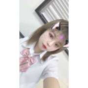 ヒメ日記 2026/09/16 00:29 投稿 ねね 桃李（とうり）