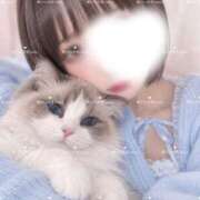 ヒメ日記 2026/09/24 07:15 投稿 美愛-mia- 虜SPA 横浜店