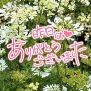 ヒメ日記 2026/09/14 06:18 投稿 こころ モアグループ春日部人妻城