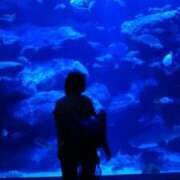 ヒメ日記 2026/09/20 01:48 投稿 みらい 浜松人妻援護会