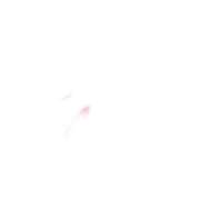 ヒメ日記 2026/09/15 19:05 投稿 よもぎ★神推し確定の現役JD Chloe五反田本店 S級素人清楚系デリヘル