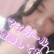 ヒメ日記 2026/09/19 15:44 投稿 晴菜（はるな） 東金人妻花壇