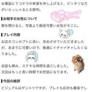ヒメ日記 2026/09/24 23:56 投稿 リオナ ロボットデリヘル