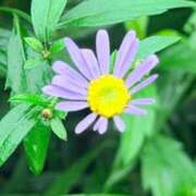 ヒメ日記 2026/09/28 07:57 投稿 はつね スイカ