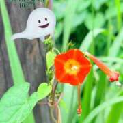 ヒメ日記 2026/10/15 18:15 投稿 はつね スイカ