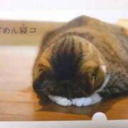 ヒメ日記 2026/09/17 10:39 投稿 水島 もも Mの世界