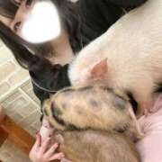 ヒメ日記 2026/09/18 21:31 投稿 うに spicyな女たち