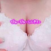 ヒメ日記 2026/09/20 08:15 投稿 ひびき 白いぽっちゃりさん