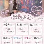ヒメ日記 2026/09/28 19:03 投稿 こあい【濡れた吐息】 STELLA TOKYO－ステラトウキョウ－