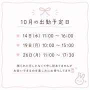 ヒメ日記 2026/10/10 23:07 投稿 まのん ハピネス東京