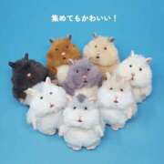 ヒメ日記 2026/10/16 20:07 投稿 まのん ハピネス東京
