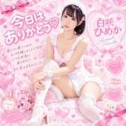白咲ひめか 四つん這いで濃厚ぷれい 奴隷志願！変態調教飼育クラブ梅田店