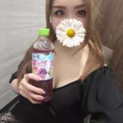 まりあ まりあ（clubさくら日本橋店） club さくら日本橋店