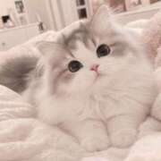 ヒメ日記 2026/09/15 21:31 投稿 早乙女しき【CUTE】 とびきりかわいい専門～You:More～