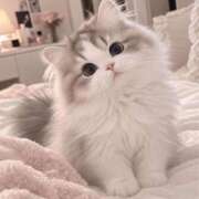 ヒメ日記 2026/09/26 22:26 投稿 早乙女しき【CUTE】 とびきりかわいい専門～You:More～