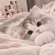 ヒメ日記 2026/10/11 16:56 投稿 早乙女しき【CUTE】 とびきりかわいい専門～You:More～