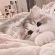 ヒメ日記 2026/10/12 20:56 投稿 早乙女しき【CUTE】 とびきりかわいい専門～You:More～