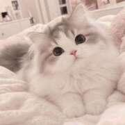 ヒメ日記 2026/10/13 12:56 投稿 早乙女しき【CUTE】 とびきりかわいい専門～You:More～