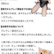 ヒメ日記 2026/10/22 08:14 投稿 まや JAPAN CLUB BUNNY LOUNGE