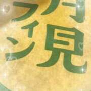 ヒメ日記 2026/09/16 21:26 投稿 安井はるか（やすいはるか） 五十路マダム福知山店(カサブランカグループ)
