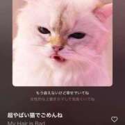 ヒメ日記 2026/09/17 22:49 投稿 ともみ 白いぽっちゃりさん五反田店
