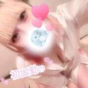 ヒメ日記 2026/09/15 16:22 投稿 なな（好奇心旺盛な美少女） おクンニ天国～Rising Group～