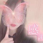 ヒメ日記 2026/09/18 23:14 投稿 めいさ One More 奥様　松戸店