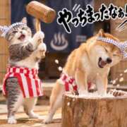 ヒメ日記 2026/09/25 09:19 投稿 神楽　まこと SM東京　新宿店